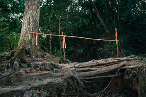 BIB: 
                            <button type="button" onclick="openModal(27319904)" class="btn btn-primary btn-sm float-right btn-popup" data-toggle="modal" data-target=".modal-high-quality">
                        <i class="fas fa-shopping-cart"></i> Add to Cart
                    </button>
                                            <button type="button" onclick="isThisMe(27319904, true)" class="btn btn-success btn-sm float-right btn-popup btn-isme hidden" data-toggle="tooltip" data-placement="bottom" title="นี่คือรูปของคุณใช่ไหม คลิกที่นี่เพื่อเอาเข้าอัลบั้ม">
                        <i class="fas fa-plus"></i> Add to album
                    </button>
                    <button type="button" onclick="isThisMe(27319904, false)" class="btn btn-warning btn-sm float-right btn-popup btn-isnotme hidden">
                        <i class="fas fa-ban"></i> Remove from album
                    </button>